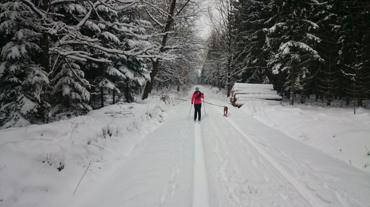Urlaubsdomizil Am Toepfer - Ferienwohnungen In Olbersdorf Exterior foto